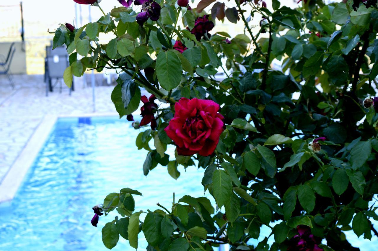 Appartamento Ionian Balcony Lixouri Esterno foto
